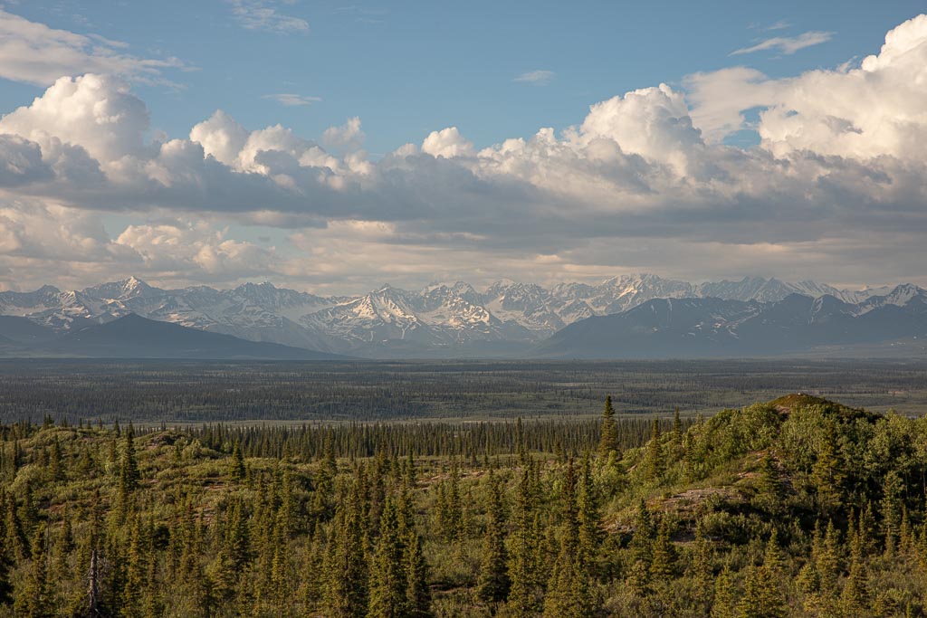 Alaska Range, Denali Highway, Alaska, Boreal taiga forest